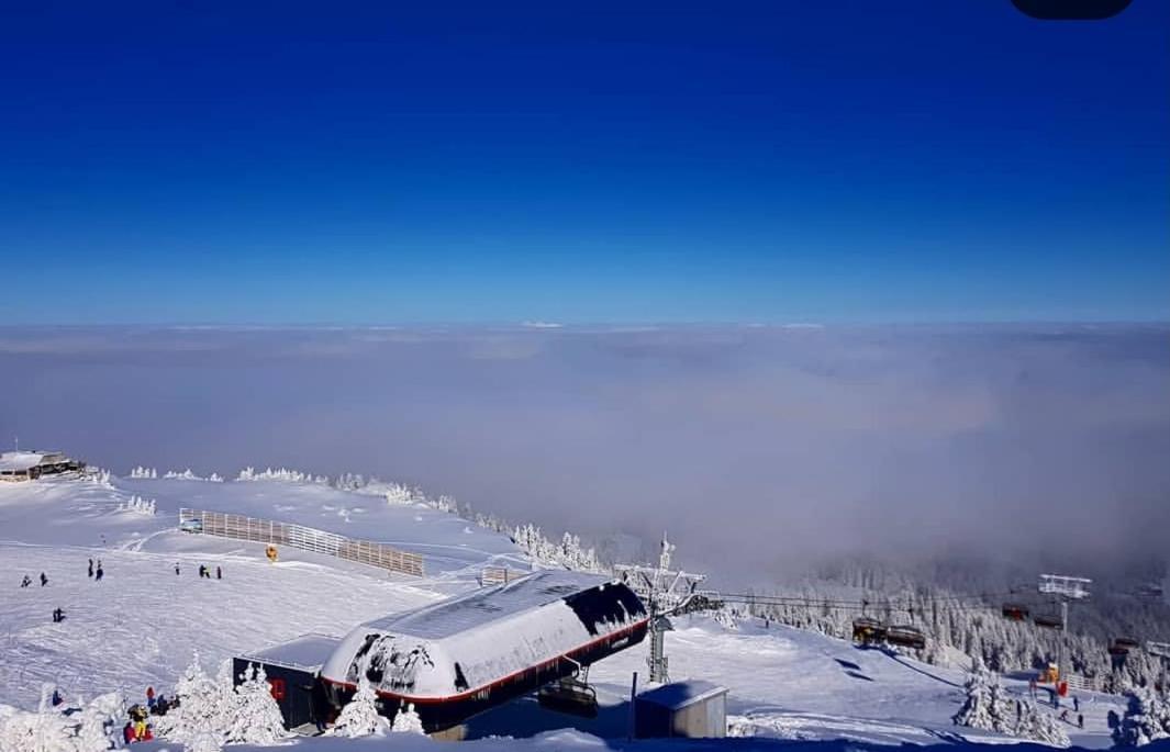 Jelka Apartmani Jahorina Exteriör bild